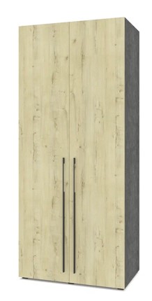 Двухдверный шкаф С22, Камень темный/Ирландский дуб в Элисте - изображение