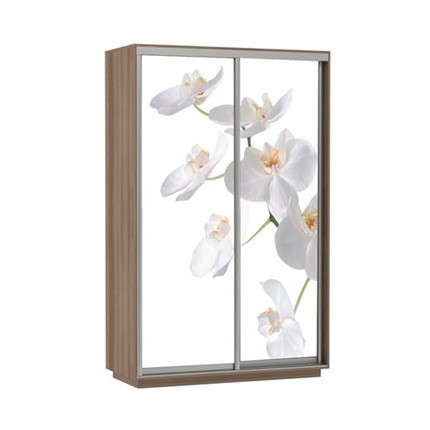 Шкаф Экспресс 1200x600x2400, Орхидея белая/шимо темный в Элисте - изображение