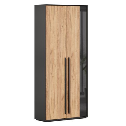 Шкаф для прихожей 2-дверный Неаполь ЛД.134050.000 (Черный/Дуб Золотой) в Элисте - изображение