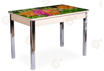 Кухонный раскладной стол Айсберг-02 СТФ, Дуб ЛДСП/полевые цветы/ноги хром квадратные в Элисте