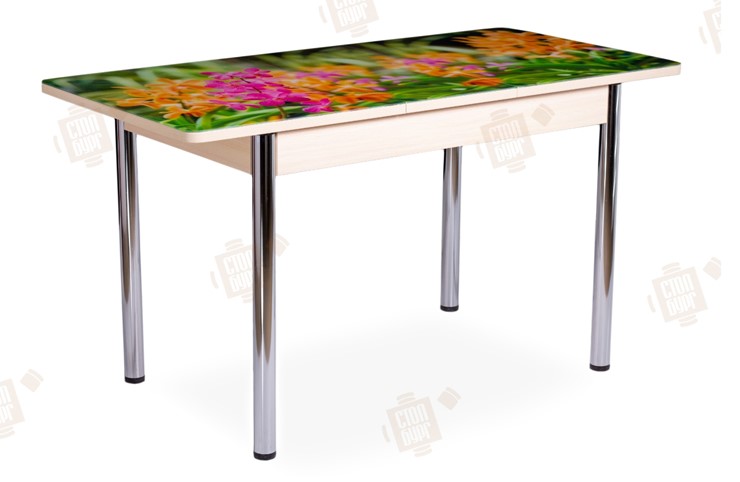 Кухонный раздвижной стол Айсберг-02 СТФ, Дуб ЛДСП/полевые цветы/ноги хром прямые в Элисте - изображение 2