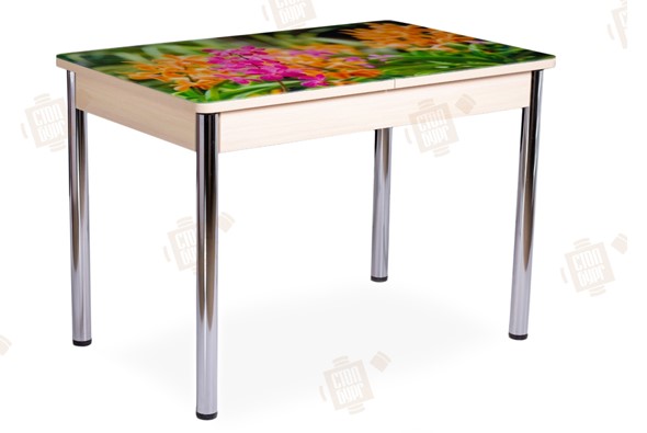 Кухонный раздвижной стол Айсберг-02 СТФ, Дуб ЛДСП/полевые цветы/ноги хром прямые в Элисте - изображение