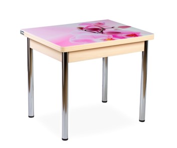 Кухонный пристенный стол СПА-01 СТФ, молочный дуб/фотопечать орхидея/опоры прямые хром в Элисте - предосмотр