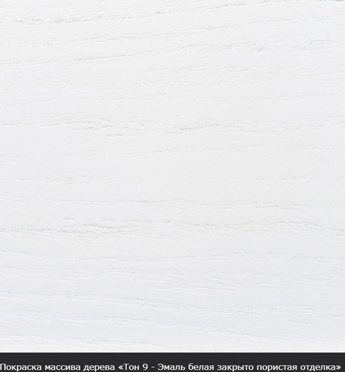 Стол раздвижной Фабрицио-1 исп. Эллипс, Тон 12 (Морилка/Эмаль) в Элисте - изображение 16
