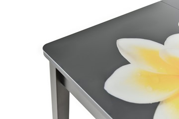 Кухонный раскладной стол Гамбург исп. 1, ноги метал. крашеные №23 (Exclusive h159/белый) в Элисте - предосмотр 9