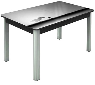 Раздвижной стол Гамбург исп. 1, ноги метал. крашеные №23 (Exclusive h192/черный) в Элисте - предосмотр
