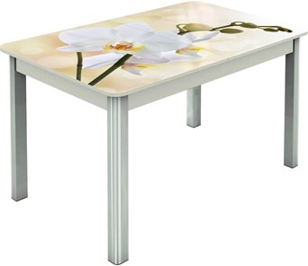 Кухонный раздвижной стол Гамбург исп.2 ноги метал. крашеные №23, Фотопечать (Цветы №5) в Элисте