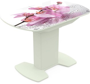 Кухонный стол раздвижной Корсика исп. 1 Фотопечать (Цветы №55) 1100(1415)*700 в Элисте