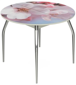 Кухонный стол раздвижной Ривьера - Круг, ноги метал. крашеные №24, ФП (Цветы №15) в Элисте