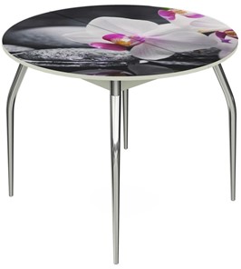 Раздвижной стол Ривьера - Круг, ноги метал. крашеные №24, ФП (Цветы №19) в Элисте