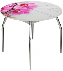 Кухонный раздвижной стол Ривьера - Круг, ноги метал. крашеные №24, ФП (Цветы №24) в Элисте