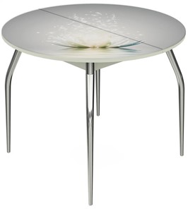 Кухонный раскладной стол Ривьера - Круг, ноги метал. крашеные №24, ФП (Цветы №29) в Элисте