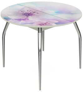 Кухонный раздвижной стол Ривьера - Круг, ноги метал. крашеные №24, ФП (Цветы №40) в Элисте