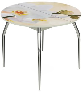 Кухонный раздвижной стол Ривьера - Круг, ноги метал. крашеные №24, ФП (Цветы №5) в Элисте