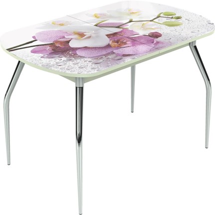 Кухонный раскладной стол Ривьера исп.1 ноги хром №5 Фотопечать (Цветы №44) в Элисте - изображение