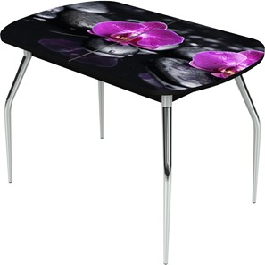Кухонный стол раздвижной Ривьера исп.1 ноги метал. крашеные №24 Фотопечать (Цветы №14) в Элисте