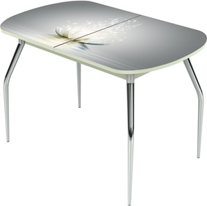 Обеденный раздвижной стол Ривьера исп.1 ноги метал. крашеные №24 Фотопечать (Цветы №29) в Элисте