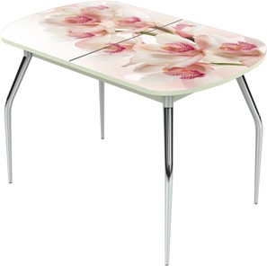 Обеденный раздвижной стол Ривьера исп.1 ноги метал. крашеные №24 Фотопечать (Цветы №8) в Элисте
