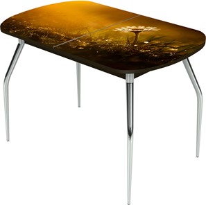 Обеденный раздвижной стол Ривьера исп.2 ноги  хром. №5 Фотопечать (Цветы №43) в Элисте
