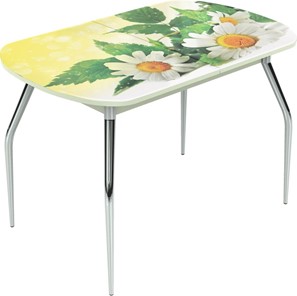 Обеденный раздвижной стол Ривьера мини, метал. крашенные №24 Фотопечать (Цветы №3) в Элисте