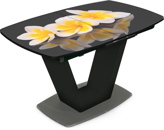 Кухонный раскладной стол Севилья Фотопечать (Цветы №11) в Элисте - изображение