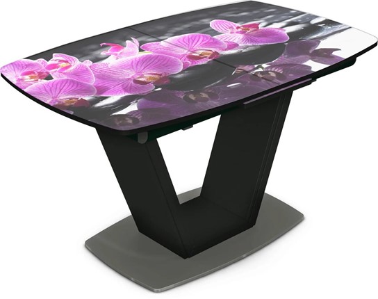 Кухонный стол раздвижной Севилья Фотопечать (Цветы №30) в Элисте - изображение