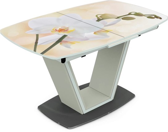 Кухонный стол раздвижной Севилья Фотопечать (Цветы №5) в Элисте - изображение