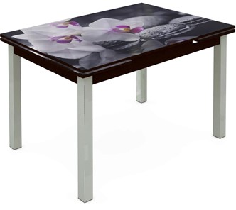 Кухонный стол раскладной Шанхай исп. 2, ноги метал. крашеные №21 Фотопечать (Цветы №19) в Элисте