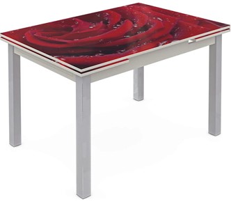 Обеденный раздвижной стол Шанхай исп. 2, ноги метал. крашеные №21 Фотопечать (Цветы №39) в Элисте