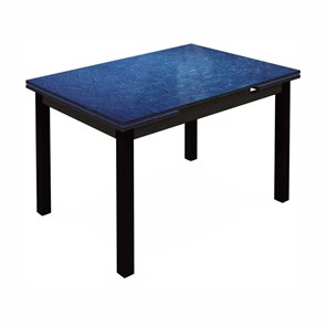 Обеденный раздвижной стол Шанхай исп.2 ноги метал. крашеные №21 (Exclusive h129/черный) в Элисте