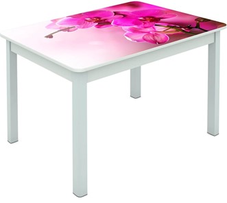 Обеденный стол Мюнхен исп. 1 ноги метал. крашеные №23 Фотопечать (Цветы №16) в Элисте