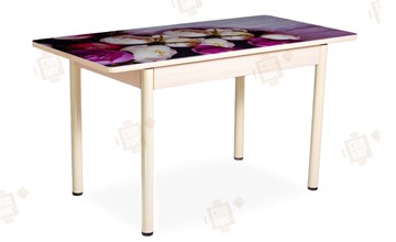 Кухонный стол раскладной Айсберг-01 СТФ, дуб/фотопечать пионы/ноги крашеные в Элисте - предосмотр 2