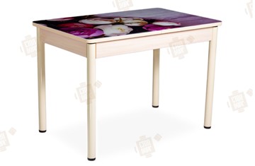Кухонный стол раскладной Айсберг-01 СТФ, дуб/фотопечать пионы/ноги крашеные в Элисте - предосмотр