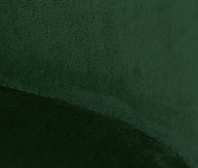Обеденный стул SHT-ST35-2 / SHT-S100 (лиственно-зеленый/черный муар) в Элисте - изображение 6