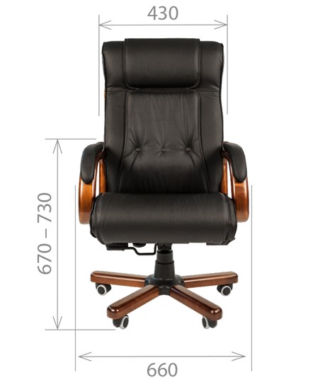 Кресло CHAIRMAN 653 кожа черная в Элисте - изображение 1