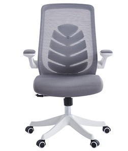 Офисное кресло CHAIRMAN 565, сетчатый акрил серый / полиэстер серый в Элисте - предосмотр 1