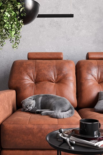 Прямой диван Клуни 1600 в Элисте - изображение 12