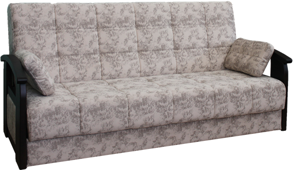 Прямой диван Виктория 5 массив в Элисте - изображение