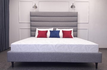 Двуспальная кровать с механизмом СОФИЯ (160х200) в Элисте - предосмотр 1