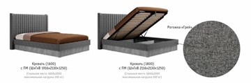 Кровать с механизмом двуспальная Бержер, 1600, Б 2.0.5 в Элисте - предосмотр 2