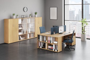 Комплект офисной мебели Формула (вяз светлый) в Элисте - предосмотр 2