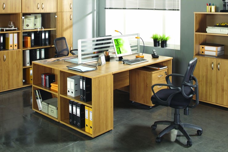 Комплект офисной мебели Формула (вяз светлый) в Элисте - изображение 4