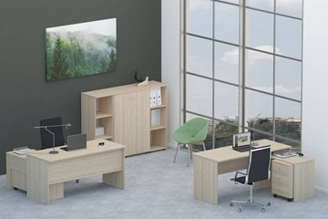 Комплект офисной мебели Twin для 2 сотрудников со шкафом для документов в Элисте - предосмотр