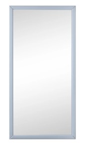 Зеркало навесное Ника (Серый) 119,5 см x 60 см в Элисте