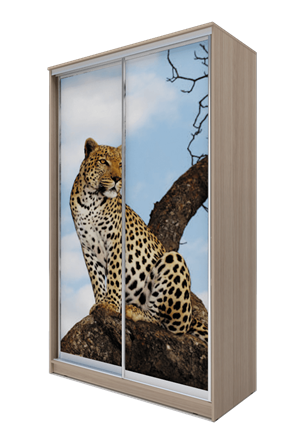Шкаф 2-х дверный 2200х1200х420, Леопард ХИТ 22-4-12-77-04 Ясень Шимо Светлый в Элисте - изображение