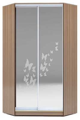 Шкаф 2300х1103, ХИТ У-23-4-66-05, бабочки, 2 зеркала, шимо темный в Элисте - изображение