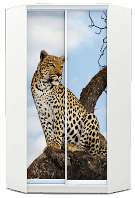 Шкаф 2400х1103, ХИТ У-24-4-77-04, Леопард, белая шагрень в Элисте - изображение