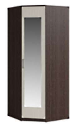 Распашной угловой шкаф Светлана, с зеркалом, венге/дуб молочный в Элисте - изображение