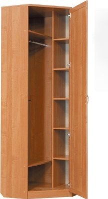 Шкаф 402 угловой со штангой, цвет Дуб Сонома в Элисте - изображение 1