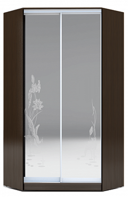 Шкаф угловой 2300х1103, ХИТ У-23-4-66-01, цапля, 2 зеркала, венге аруба в Элисте - изображение